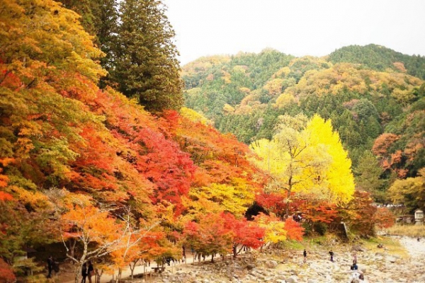 福山市　紅葉狩り